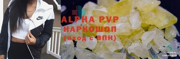 сатива Горнозаводск