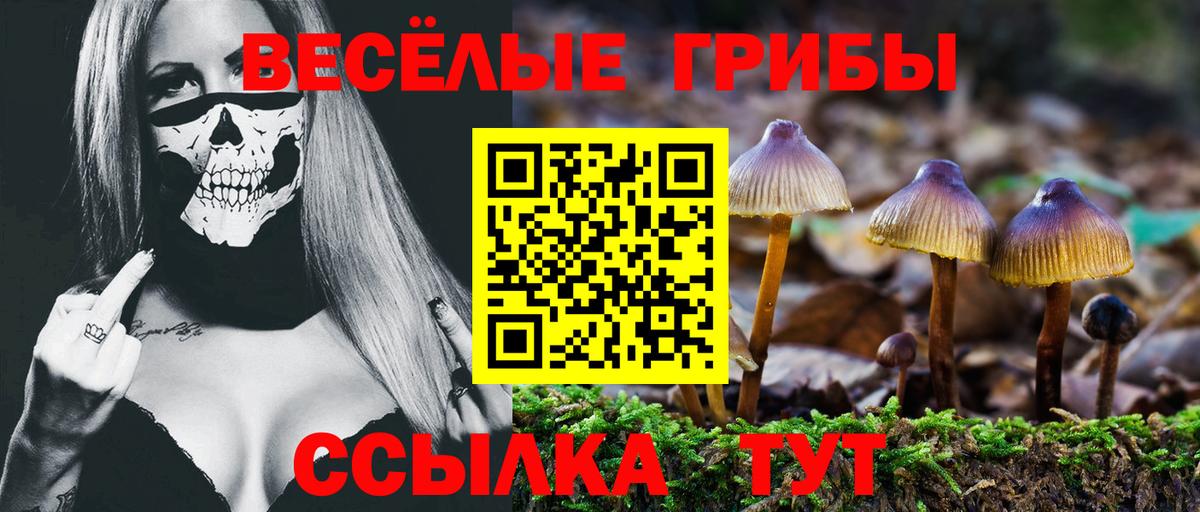 Псилоцибиновые грибы мухоморы Похвистнево