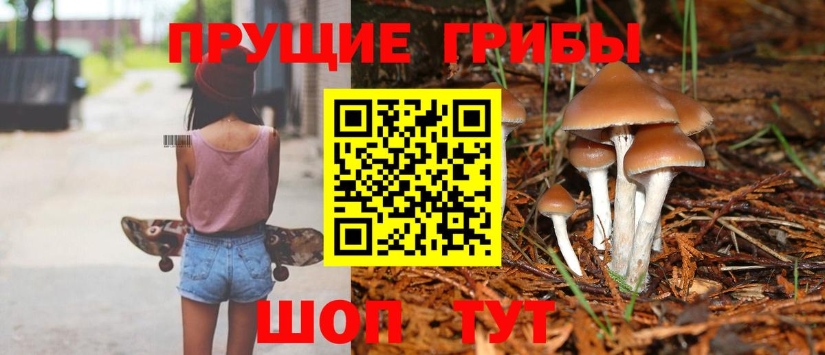 Похвистнево  Псилоцибиновые грибы прущие грибы  Вход с VPN 